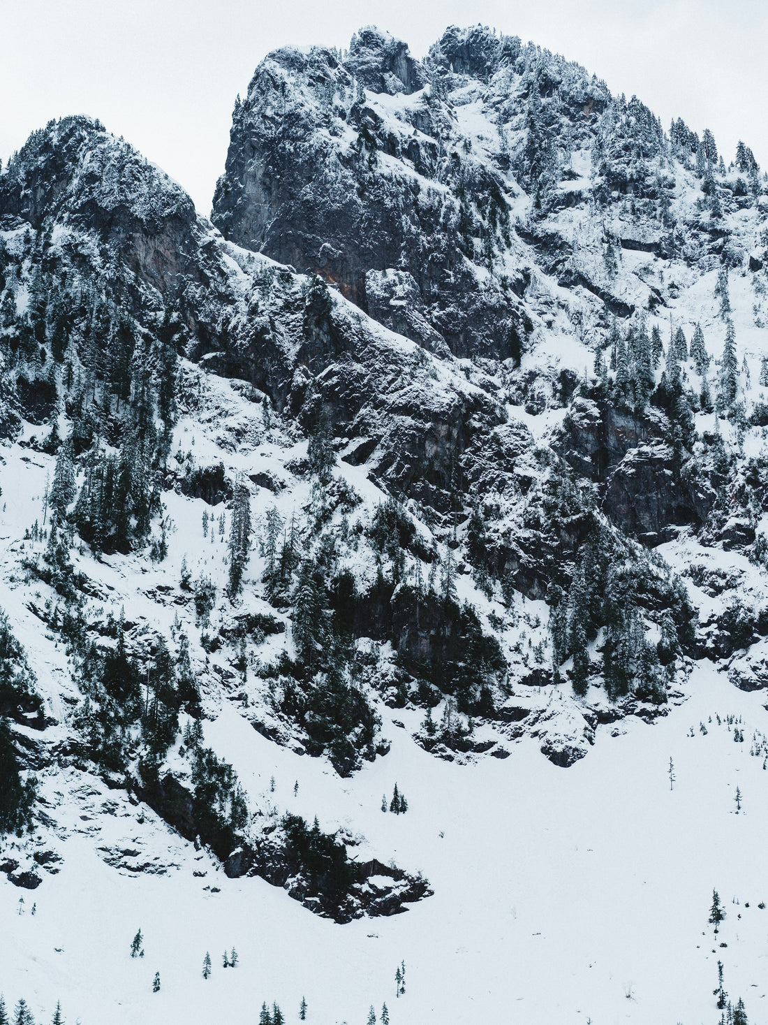 Snowy peaks beyond a mountain forest